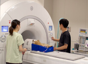 MRI検査イメージ画像