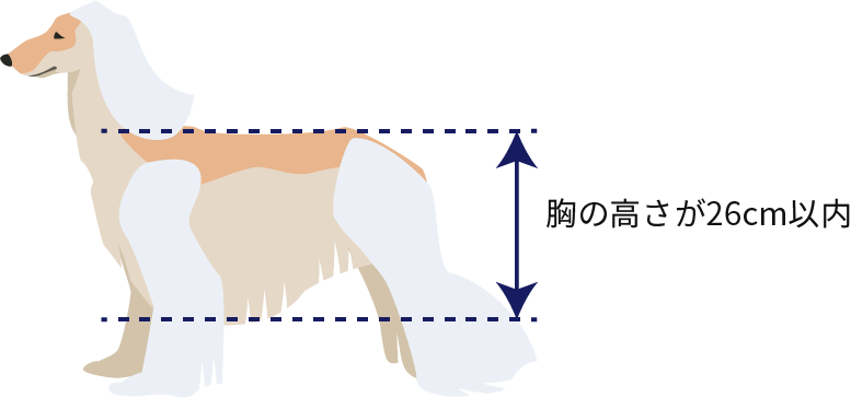 胸の高さ基準